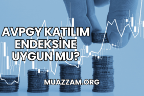 AVPGY Katılım Endeksine Uygun mu?