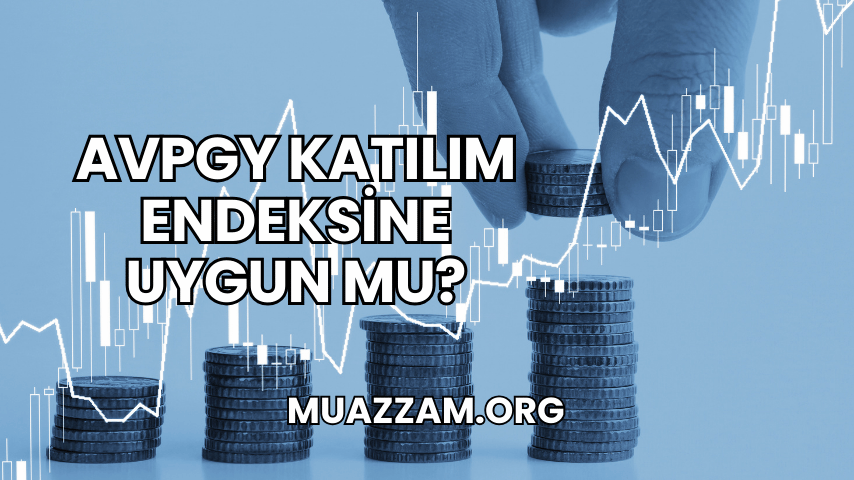 AVPGY Katılım Endeksine Uygun mu?