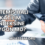Artemis Halı Katılım Endeksine Uygun mu?
