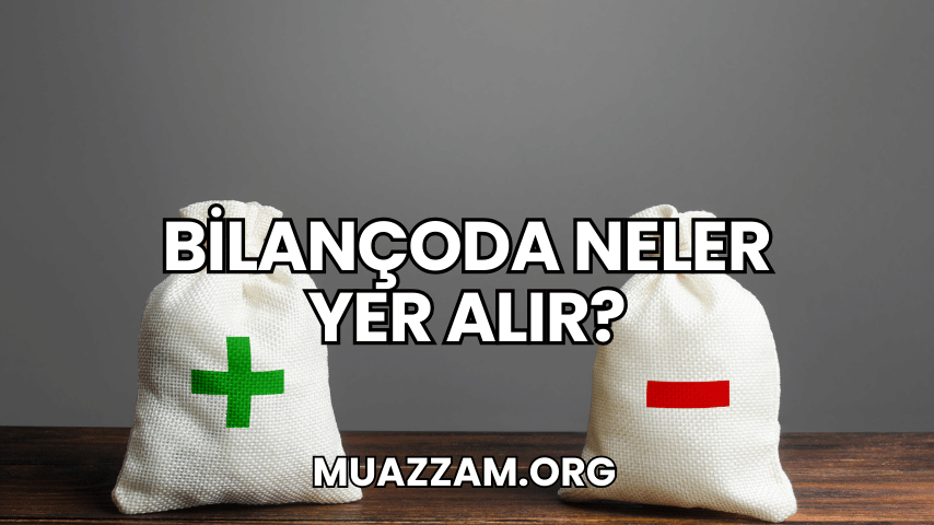 Bilançoda Neler Yer Alır?