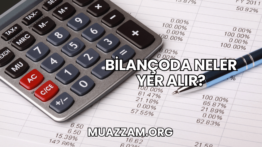 Bilançoda Neler Yer Alır?