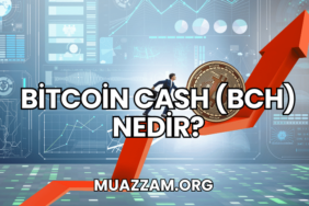 Bitcoin Cash (BCH) Nedir?