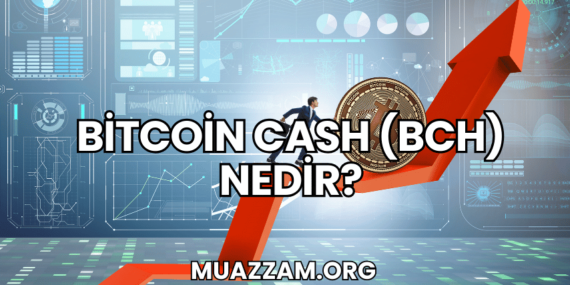 Bitcoin Cash (BCH) Nedir?