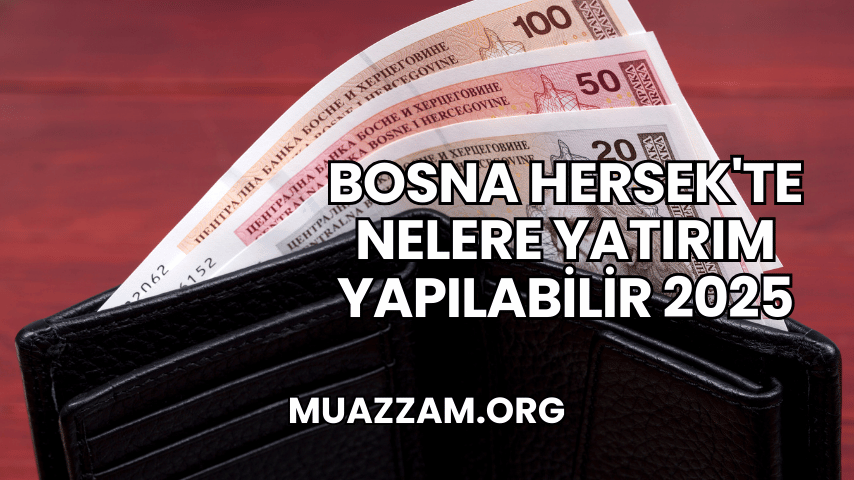 Bosna Hersek'te Nelere Yatırım Yapılabilir 2025