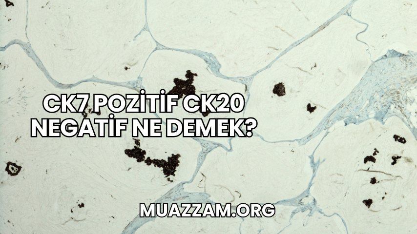 CK7 Pozitif CK20 Negatif Ne Demek?