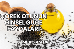 Çörek Otunun Cinsel Güce Faydaları