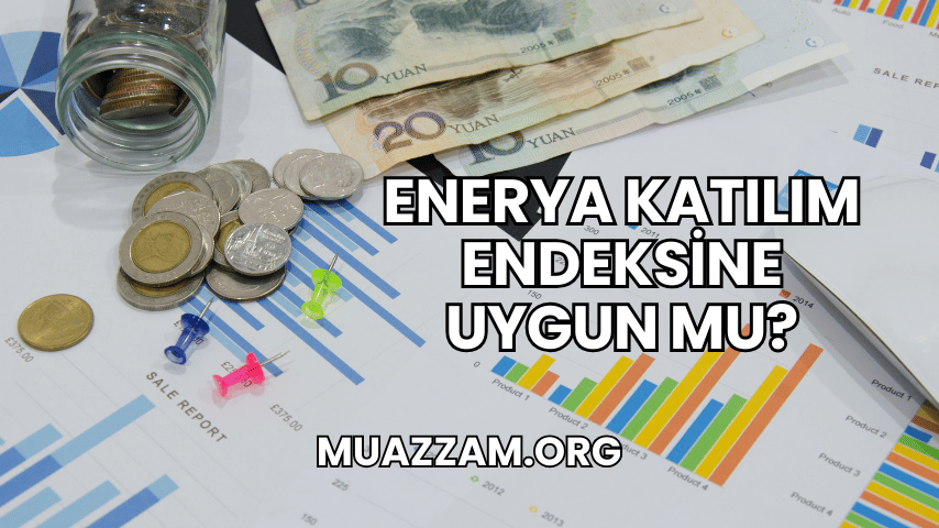 Enerya Katılım Endeksine Uygun mu?