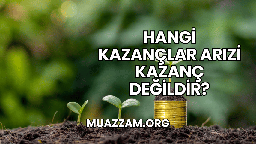 Hangi Kazançlar Arızi Kazanç Değildir?