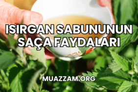 Isırgan Sabununun Saça Faydaları