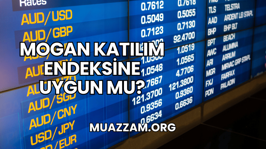 Mogan Katılım Endeksine Uygun mu?
