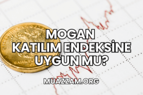 Mogan Katılım Endeksine Uygun mu?
