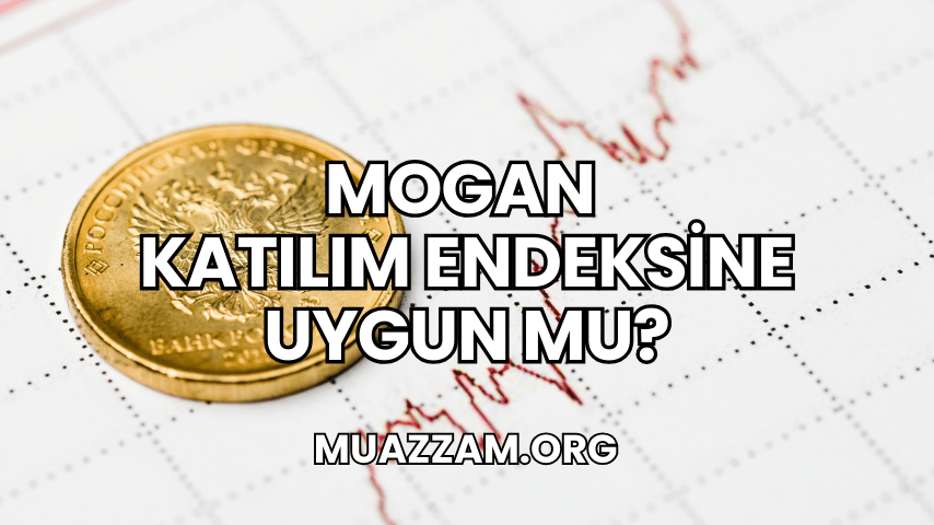 Mogan Katılım Endeksine Uygun mu?