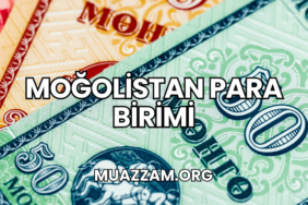 Moğolistan Para Birimi
