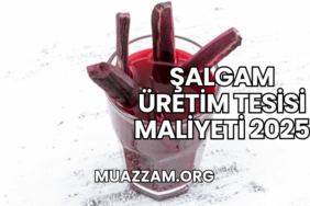 Şalgam Üretim Tesisi Maliyeti 2025