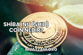 Shiba Inu (SHIB) Coin Nedir?