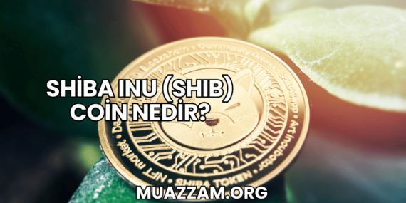 Shiba Inu (SHIB) Coin Nedir?