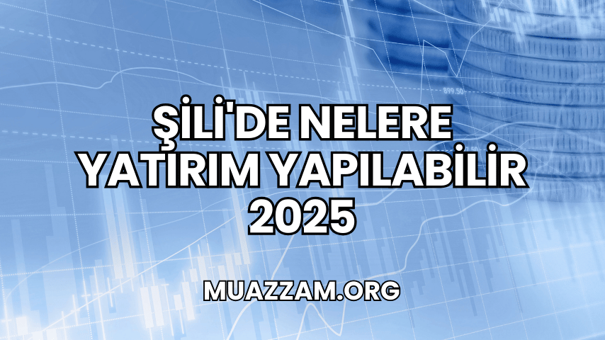 Şili'de Nelere Yatırım Yapılabilir 2025