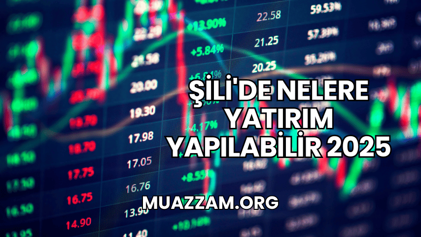 Şili'de Nelere Yatırım Yapılabilir 2025