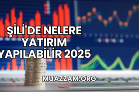 Şili'de Nelere Yatırım Yapılabilir 2025
