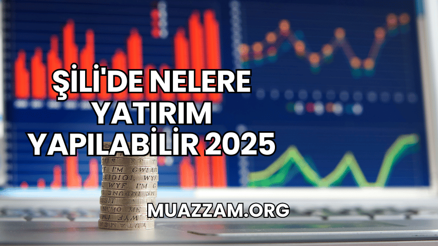 Şili'de Nelere Yatırım Yapılabilir 2025