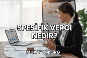 Spesifik Vergi Nedir?