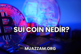 Sui Coin Nedir?
