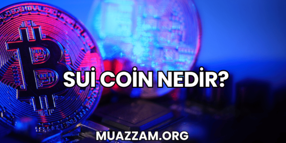 Sui Coin Nedir?