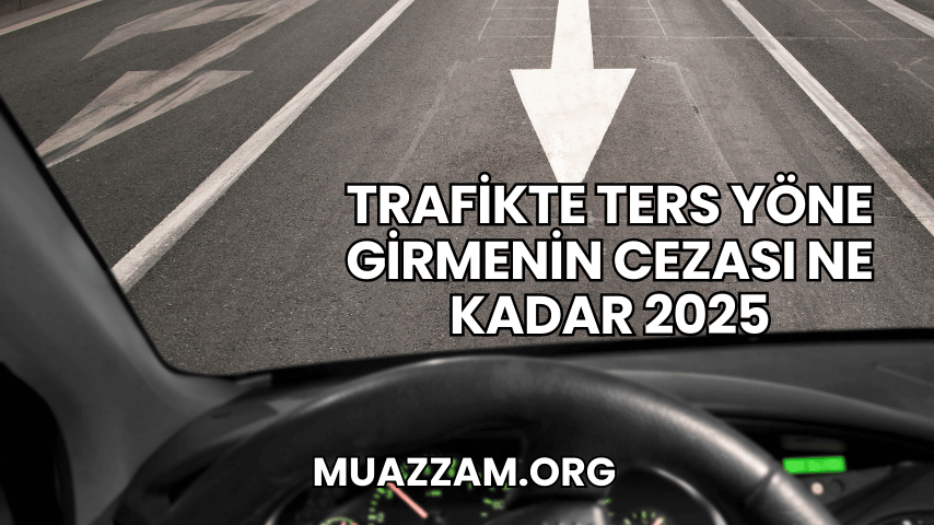 Trafikte Ters Yöne Girmenin Cezası Ne Kadar 2025