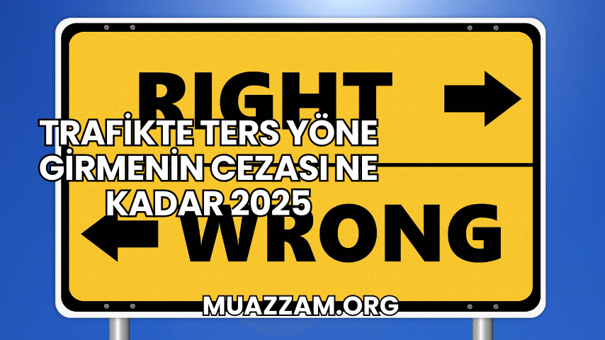 Trafikte Ters Yöne Girmenin Cezası Ne Kadar 2025