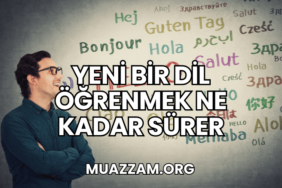Yeni Bir Dil Öğrenmek Ne Kadar Sürer